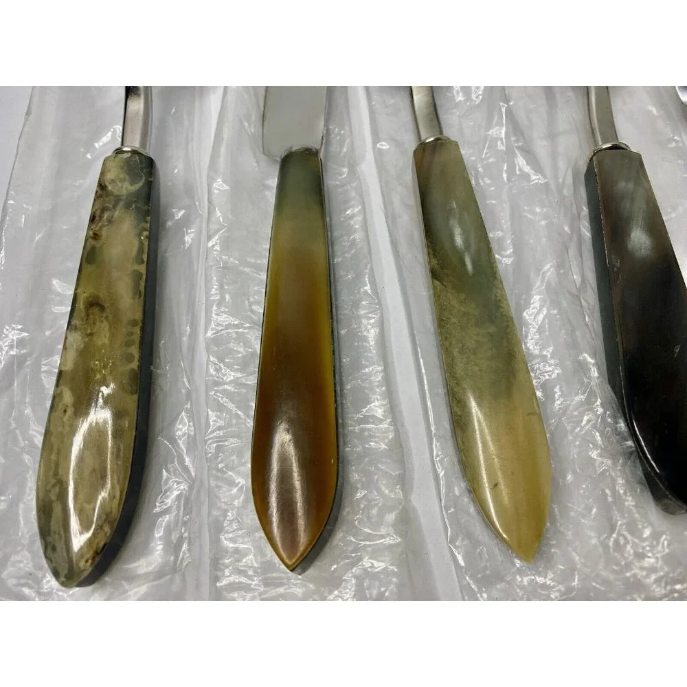 Pottery Barn Horn Flatware 2008-2009 Genuine Horn 5 Piece Place Setting‎ Read #6